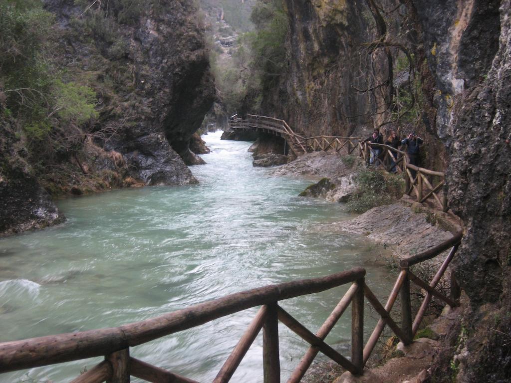 Alojamientos Bellavista Coto Rios Phòng bức ảnh